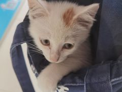 -美联众合24小时·皮肤科·外科·全科诊疗中心(华苑分院)