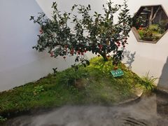 -凤凰山斑鱼馆(恭城店)