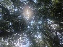 -东湖落雁景区
