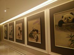 android_upload_pic-锦官会