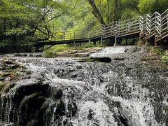 -龙苍沟森林公园