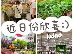 -鹿岛生活(熙地港店)