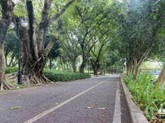 -人民公园(罗湖区)