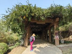 -石老人观光园