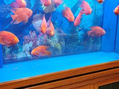 -新碧水留香新桑拿