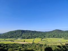 -风云岭森林公园