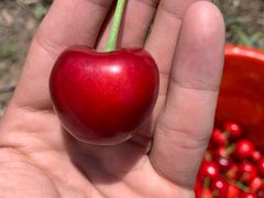 -上海龙吴水胜海发市场