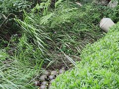 -远山有窑