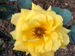 -人民公园(罗湖区)