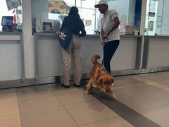 -波哥大埃尔多拉国际机场