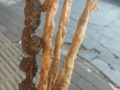 -老红桥炸灌肠牛肚锅烧烤(定福庄店)