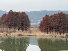 -长广溪湿地公园