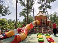 -合肥滨湖国家森林公园