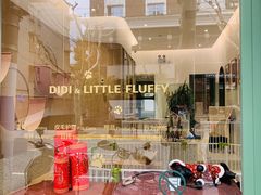 -電力宠物公司(武定路店)