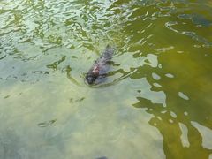 -济南野生动物世界