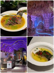 -曼格纳婚礼艺术中心(张江店)