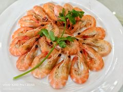 白灼虾-外沙富龙城酒楼(老街店)