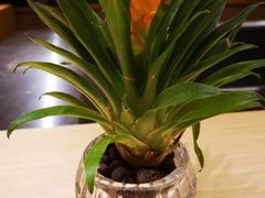 -紫· 割烹  Kappo Murasaki