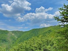-云顶山风景区