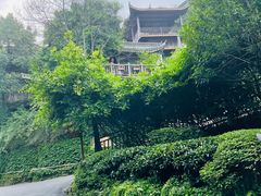 -巴倒烫陆派重庆火锅(南山店)