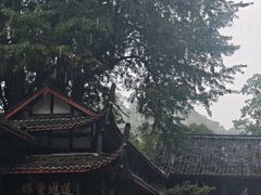 -青城山