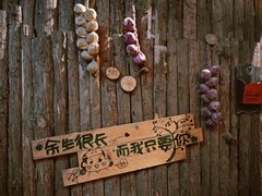 -老崇左特色风味食馆