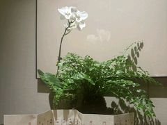 -王府茶宴(大观园总店)