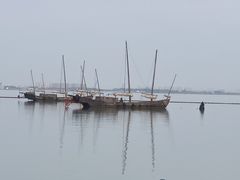 -贡湖湾湿地公园