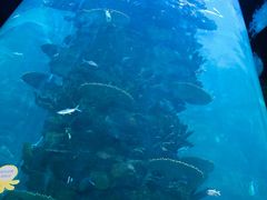 -青岛嘉年华主题乐园