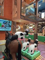 -卡通尼·Safari非洲探索乐园·生日会(金桥国际商业广场店)