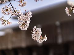 -龙美术馆(西岸馆)