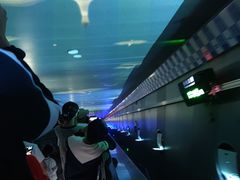 -白鹤梁水下博物馆