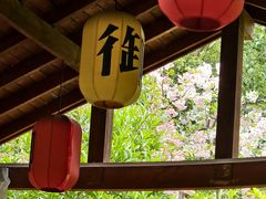 -西安国际创新人才交流中心•药浴温泉