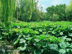 -上海动物园(地铁站)