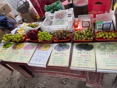 -马陆小张葡萄园农家乐