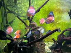 -常州海昌海洋探索馆