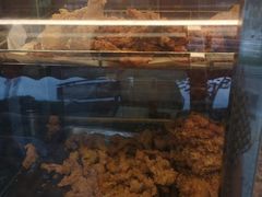 -德盛炸鸡腿(大沽南路店)