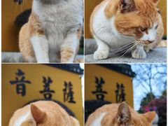 -杭州上天竺法喜讲寺