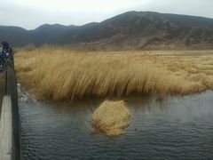 -泸沽湖国家级风景名胜区走婚桥
