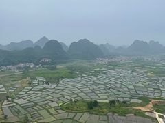 -会仙湿地