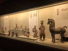 -乐山市博物馆