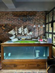 -青木造型HAIR·あおき髪を刈る潮人店