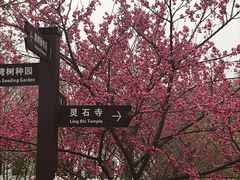 -福清灵石山国家森林公园