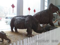 -中国第四纪冰川遗迹陈列馆
