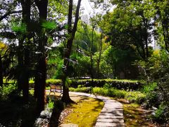 -苏州河梦清园环保主题公园