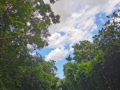 -华侨城湿地公园
