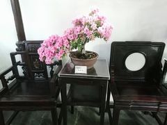 -上海醉白池公园