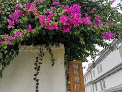 -喜洲翰林餐厅(董家百年老宅店)