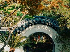 -汇龙潭