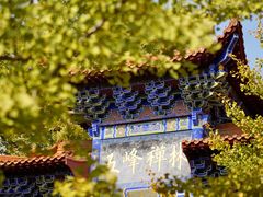 -遵化市禅林寺古银杏风景园